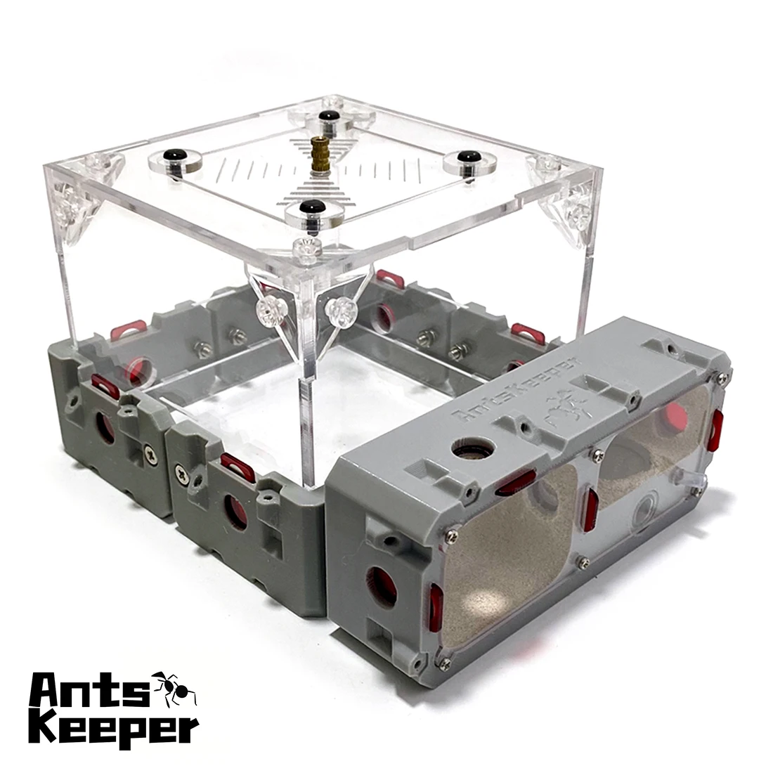 Thumbnail 3 - #32 Best Ant Farms to Buy In 2026