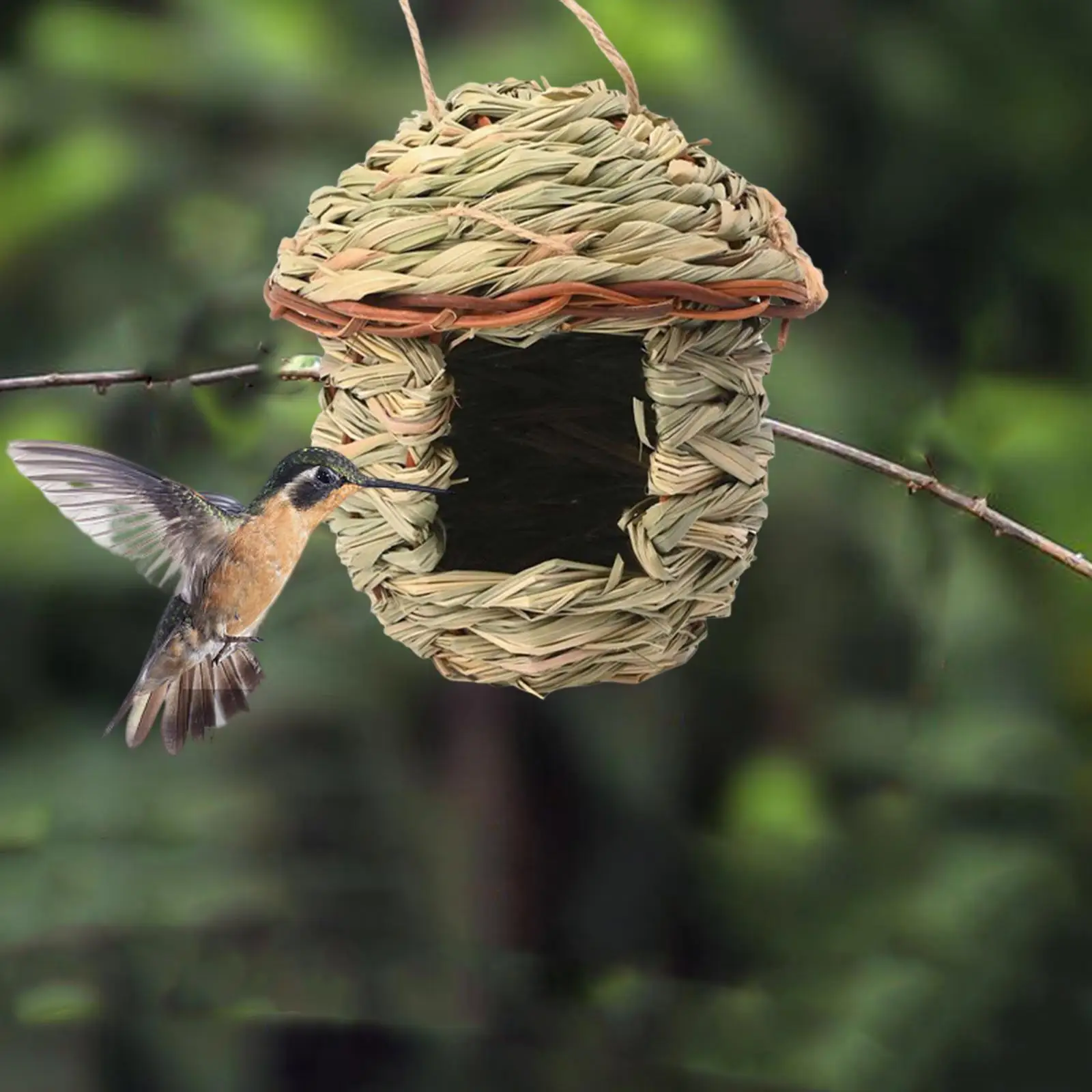 Grass Bird Hut Decorative Hanging Bird House for Sparrows Chickadee