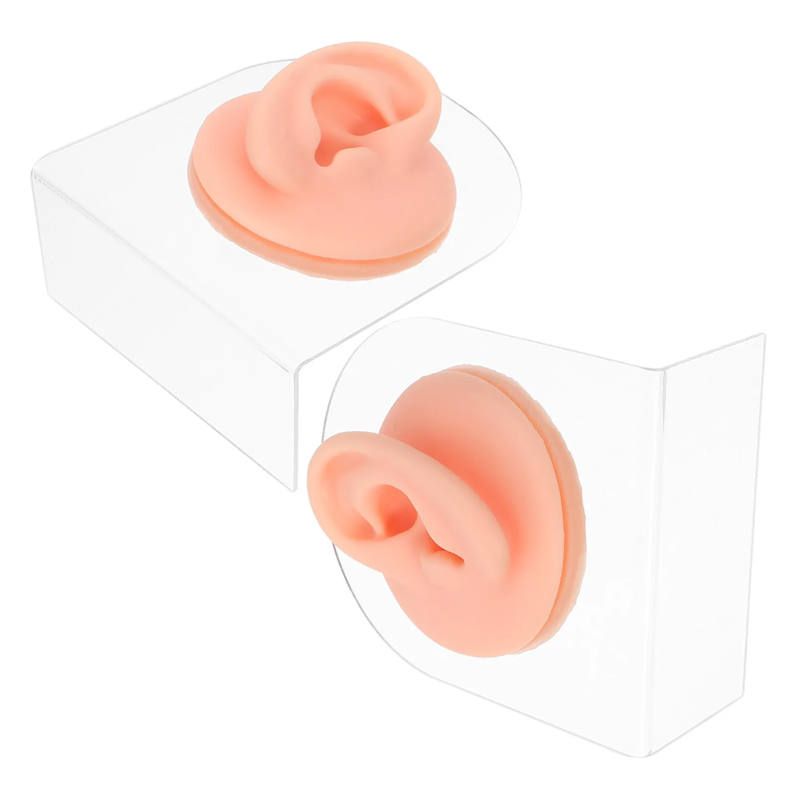 1Pair Silicone Ear Practice Piercing Kit Left Right Realistic Ear Display Stand Teaching Prop Anatomical Training Supplies