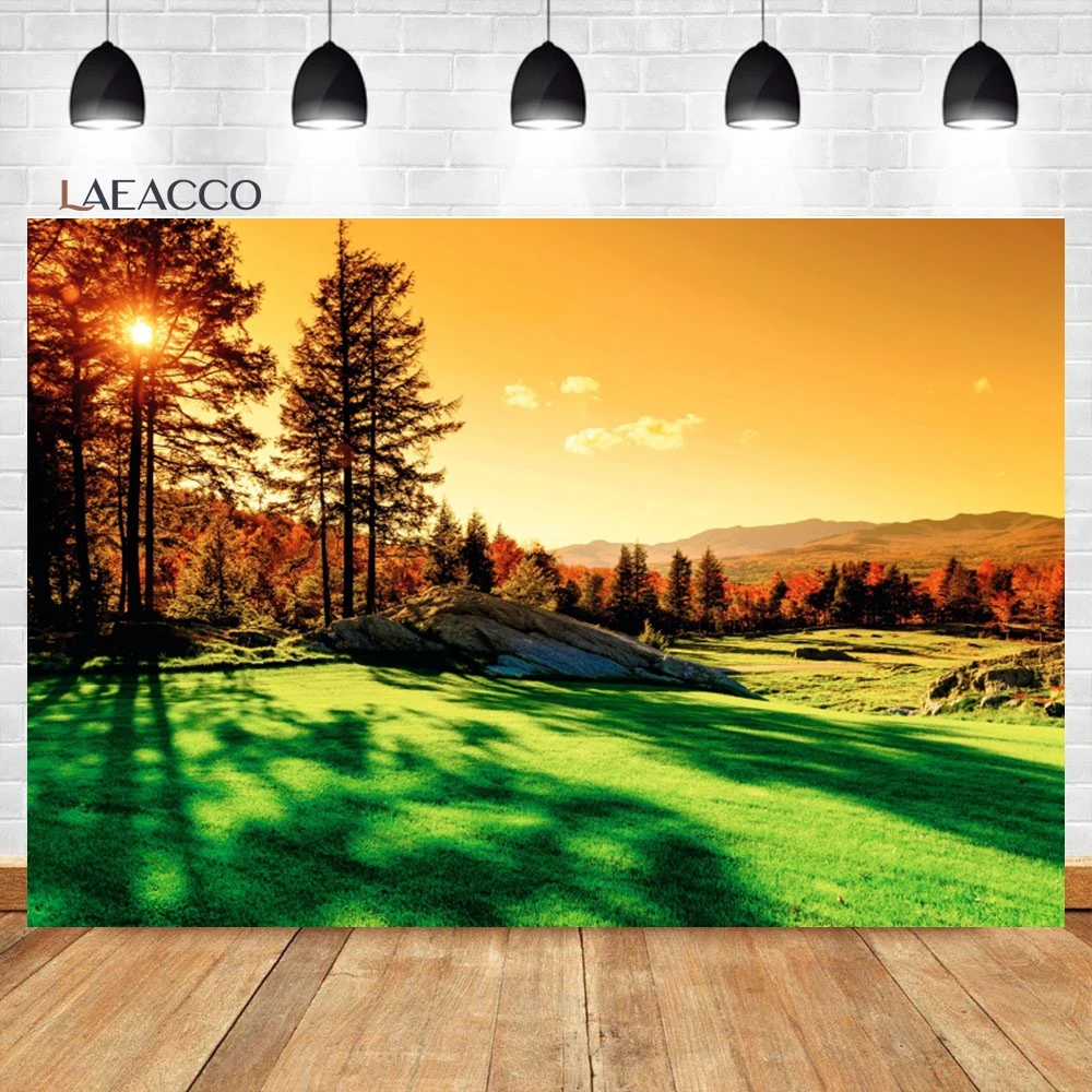 Laeacco Spring Rural Sunrise Field Nature Landscape Backdrop Meadow Wildflower Grass Kids Adults Portrait Photography Background