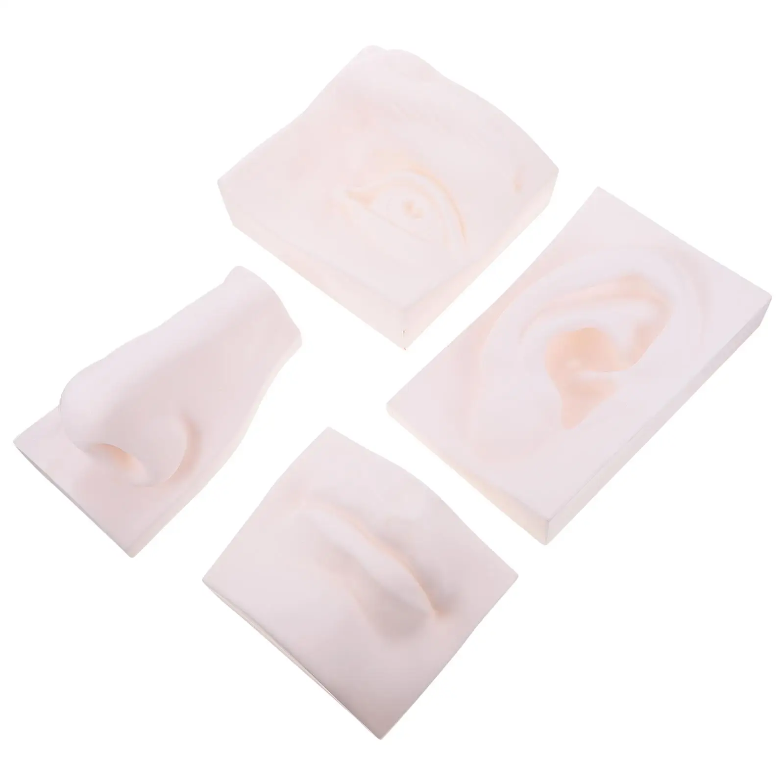 

PVC Teaching Aids Sense Organ Models Sketch Sculpture Desktop Decor Student Study Bedroom Artistic Painting Graffiti Design
