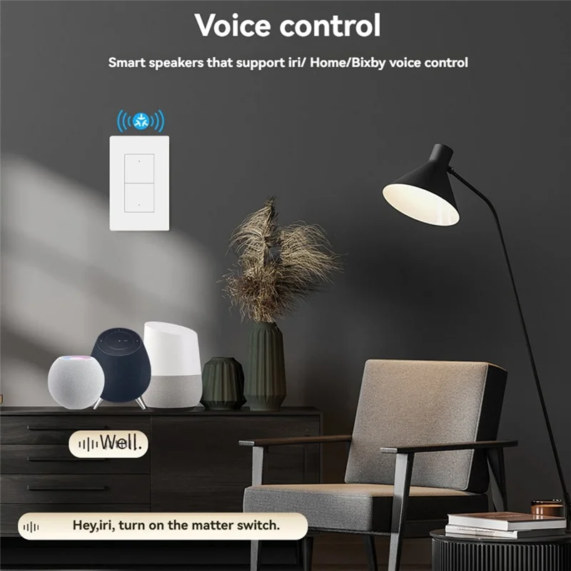JABS-Matter Wifi TUYA/Google スマートスイッチ 2 ウェイボタンウォールライトコントロール音声アプリ制御 Smartthings