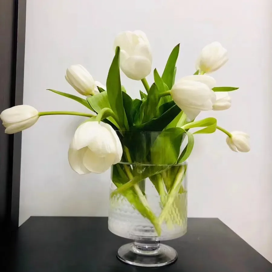 

Decoration Home Living Room Terrarium Garden Pots and Planters Transparent Cute Office Minimalist Large Flower Vase