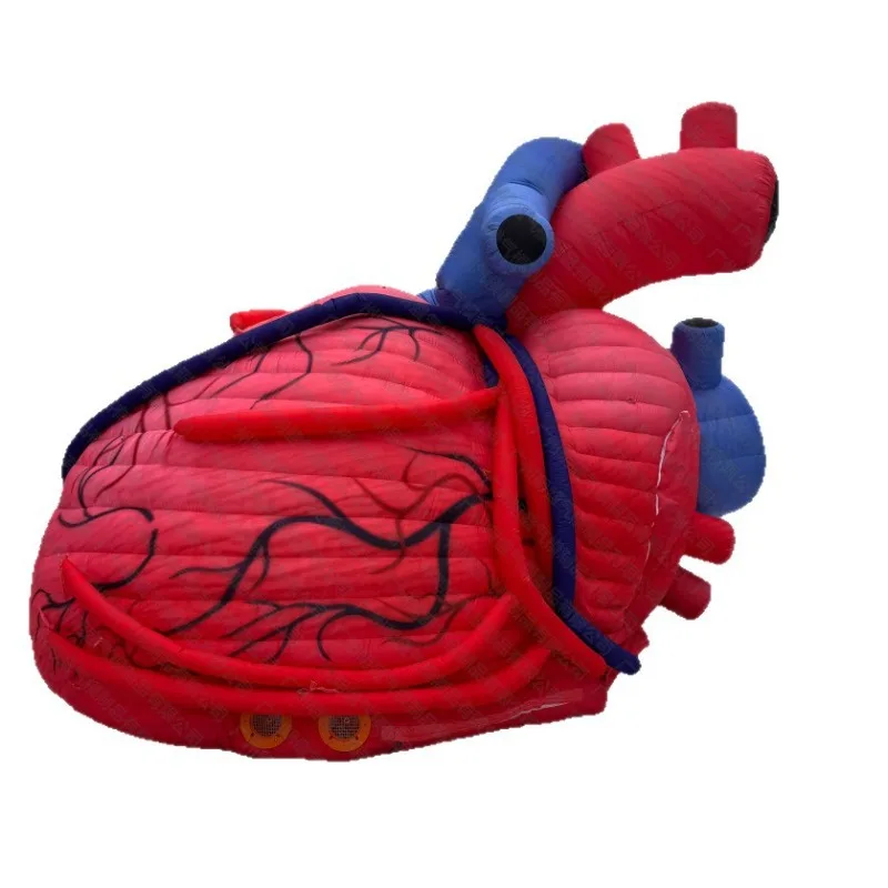 

Cross-border Large-scale Inflation Simulation Mannequin Custom Inflatable Organ Brain Heart Inflatable Lung Pneumatic