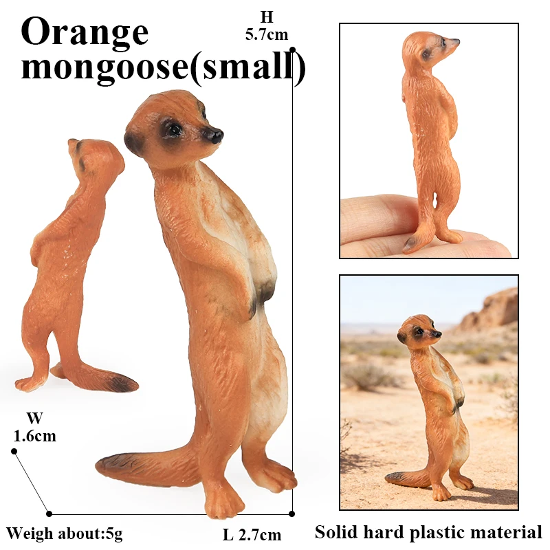 Oenux Simulation Neue Wilde Tierfiguren Stehende Wüsten-Meerkatze Otter Nutria Modell Actionfiguren Kinder-Lernspielzeug Geschenk – Detail 6