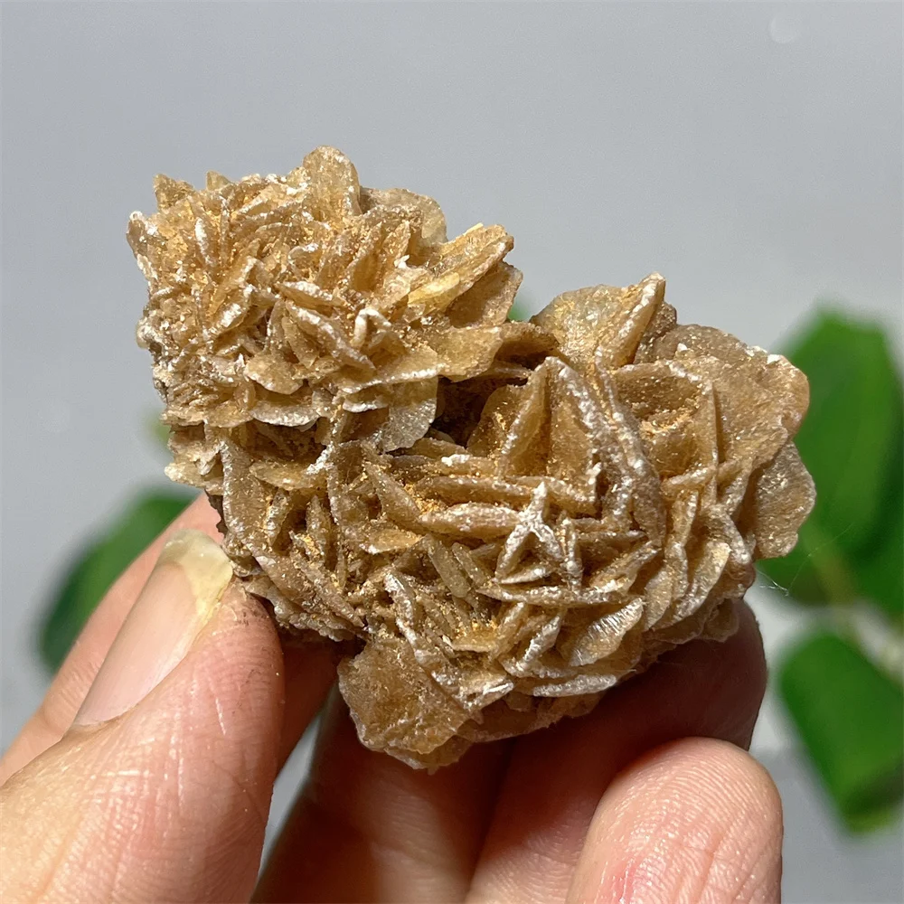 

Crystal Natural Desert Rose Reiki Healing Gemstone Specimen Home Decoration Stone Quartz Raw Energy Spiritual Minerals