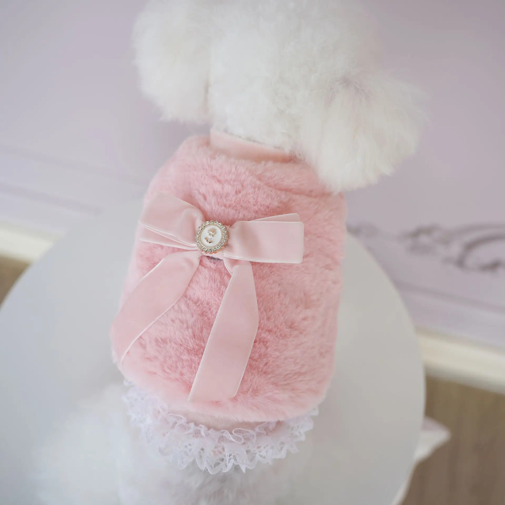 Two Piece Set Luxury Winter Dog Clothes Thick Princess Chihuahua Coat for Small Dog Teddy Pet Ropa Para Perro Pequeño