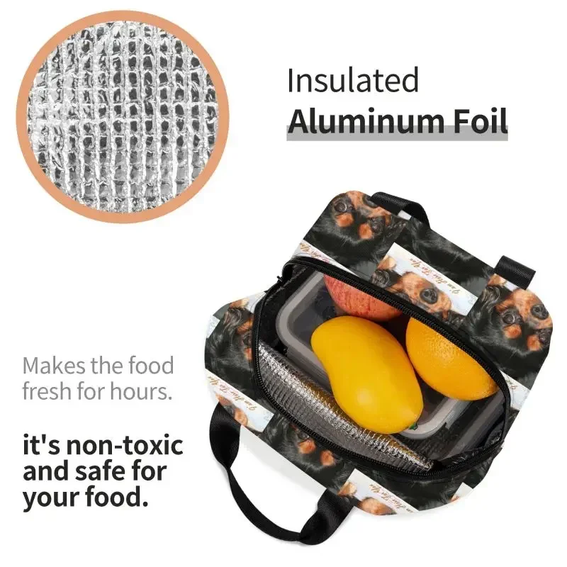 صناديق الغداء المحمولة كافالير كينغ سبانيل جرو للحيوانات الكلب برودة الغذاء الحراري معزول حقيبة الغداء مدرسة الاطفال