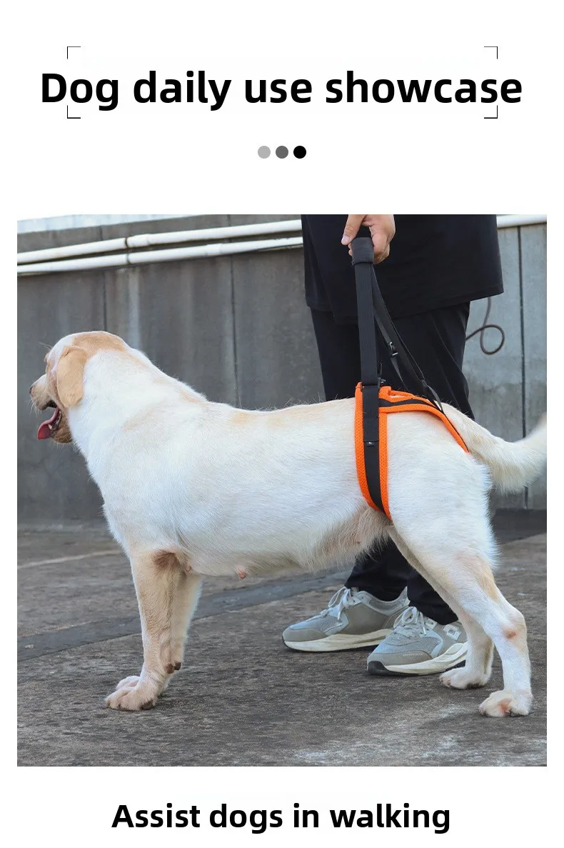 Verstellbares Hundehilfsgurt-Set für Hinterbeinunterstützung, Weiche Hebegriffe für Schwache Hinterbeine, Hilft Älteren, Verletzten und Behinderten Hunden – Detail 9