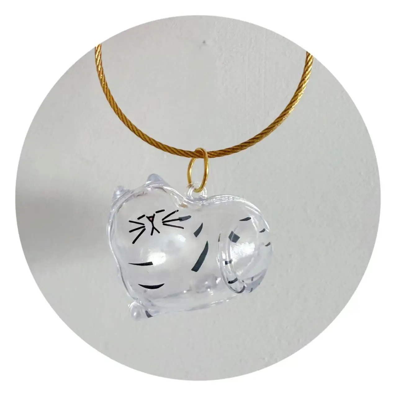 Transparent Cat & Dog Hair Memorial Capsule Keychain image