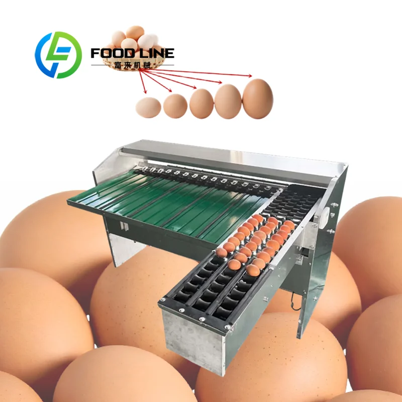 Automatic Egg Grader Adjustable Conveyor Speed Matches Egg Sorting Machine Switching Fast Sort Mode For Busy Farm Production