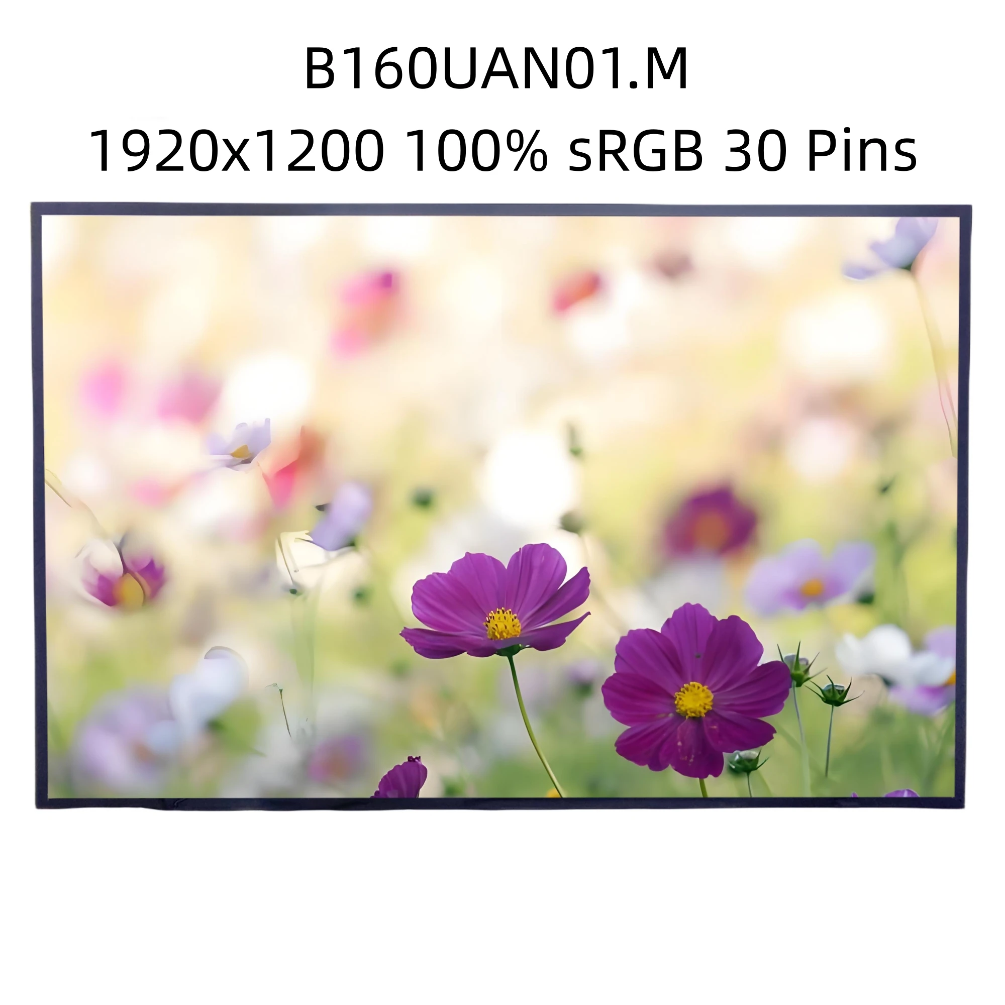 

B160UAN01.M 16.0 inch LCD LED Screen 1920x1200
