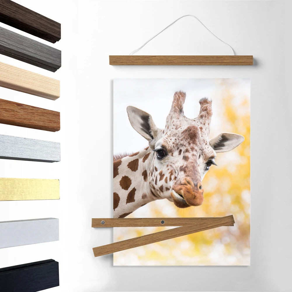 Marco de Fotos de Madera en 8 Colores, Marco de Lona Blanco y Negro, 21, 30, 40, 50 cm, Colgador Magnético para Pósteres, Marco de Madera de Pino y Teca para Pinturas