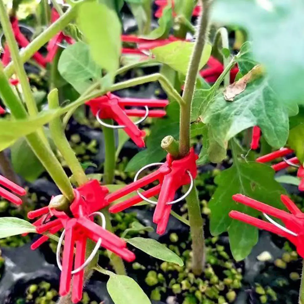 

500g Round Mouth Grafting Clips Durable Plastic Plant Support Fixing Clamp Gardening Tool Cucumber Watermelon Saplings