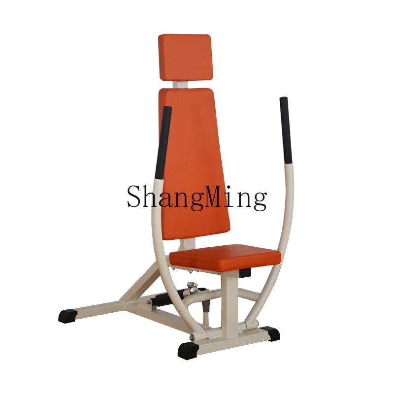 Cl Seated Quadricep… - image