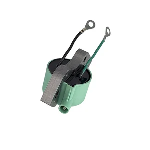 11 Main Sales Director Electric Celtic - №10