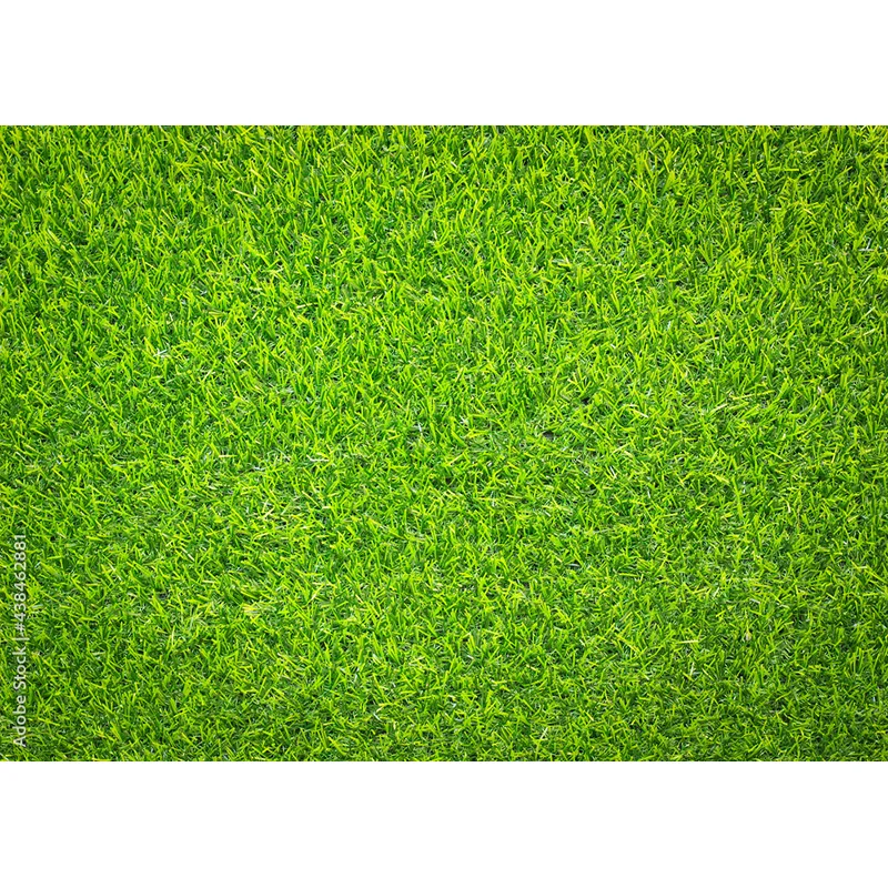 NITREE Landscape Photography Props Green Grass And Blue Sky White Clouds Photo background Studio Props  CDD-08