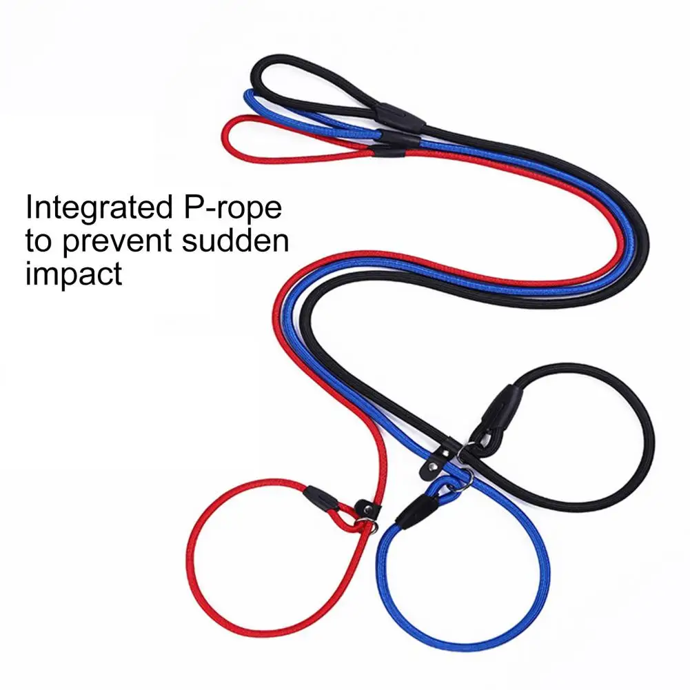 Adjustable Loop Pet Leash Durable Nylon Slip Lead Dog Leash for Training Medium Small Dogs Adjustable Loop for Night