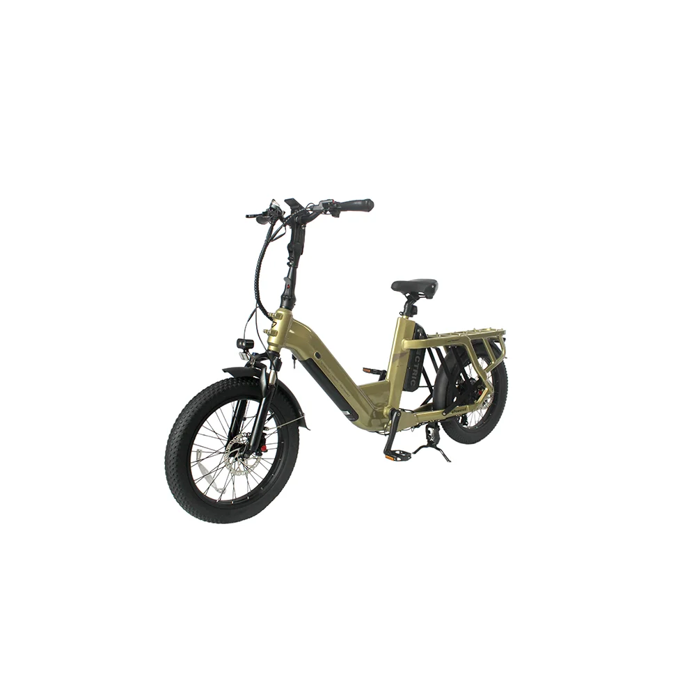 2025 Two-wheel Electric Cargo Bike With Long Tail Carry Passengers Cargo Bike Electric Ebike E-cargo Family E Bicycle