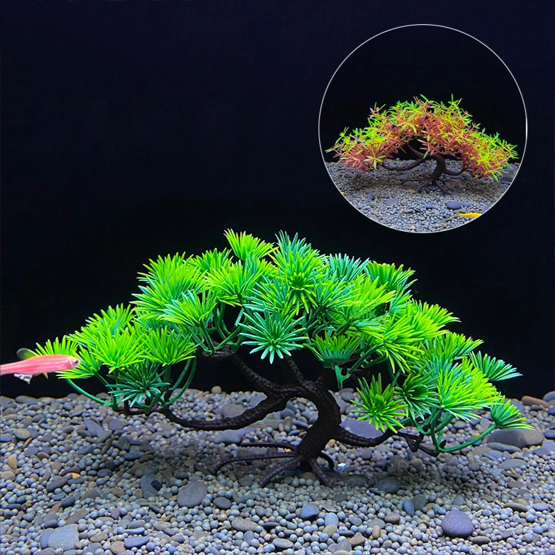 Small Aquarium Bonsai Tree: The Ultimate Decorative Solution for ...