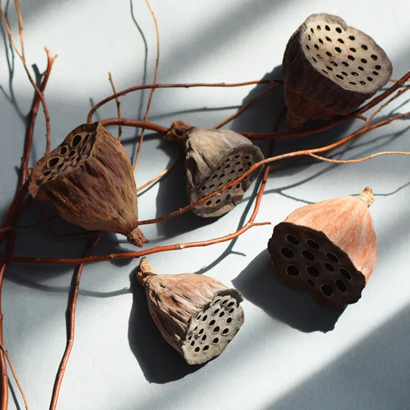 10/12/24pcs Real Lotus Pods Rustic Country Mori Style Christmas Wreaths Dried Flower Arrangement Decorations Home Decoration