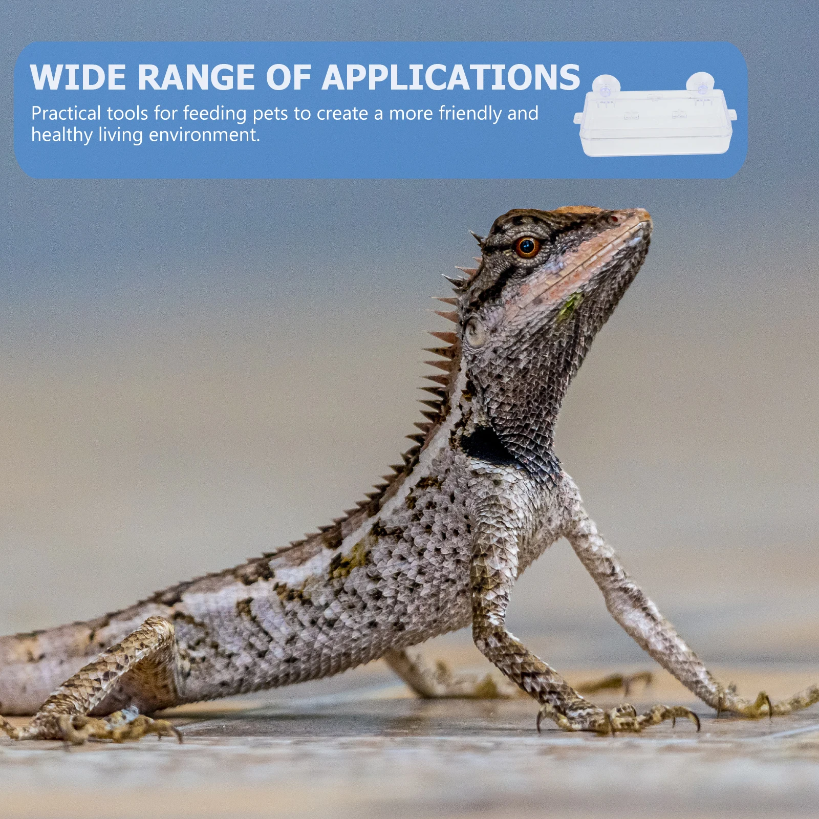 

1Pcs Suction Cup Reptile Feeder Anti Escape Reptile Bowl Easy to Clean Transparent Acrylic Food Container Acrylic Food Dish