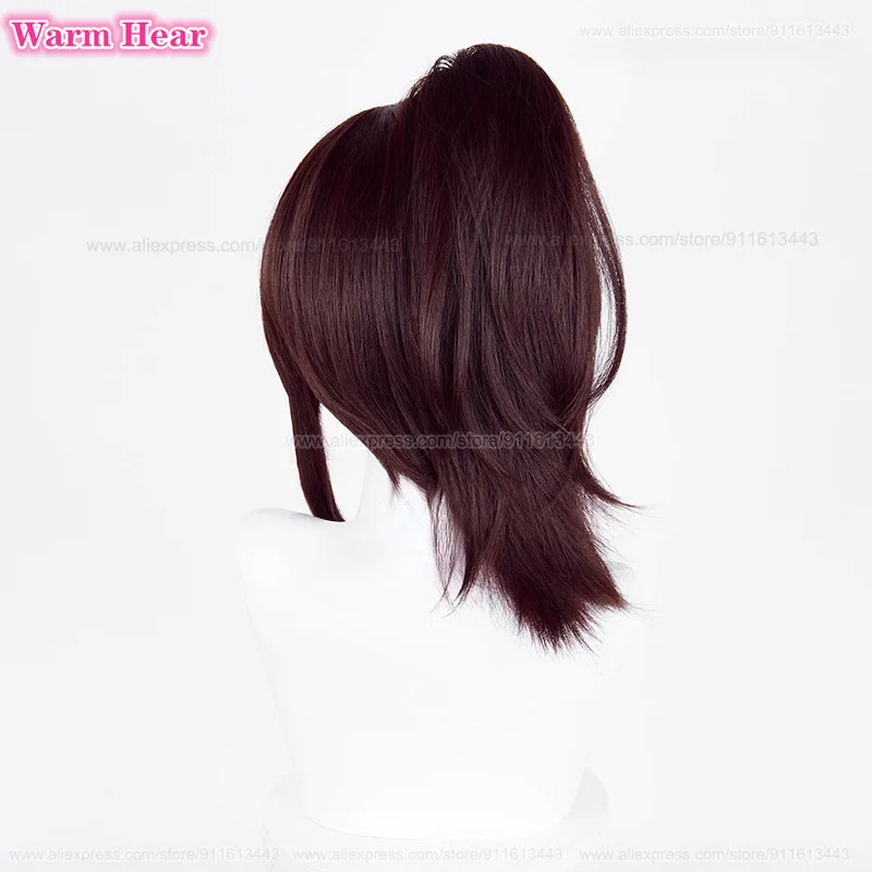 أنيمي ساشا براوس طويل 40 سنتيمتر بني داكن ذيل حصان تأثيري أنيمي شعر مستعار مقاومة للحرارة الاصطناعية الشعر هالوين شعر مستعار للحفلات + غطاء شعر مستعار #5