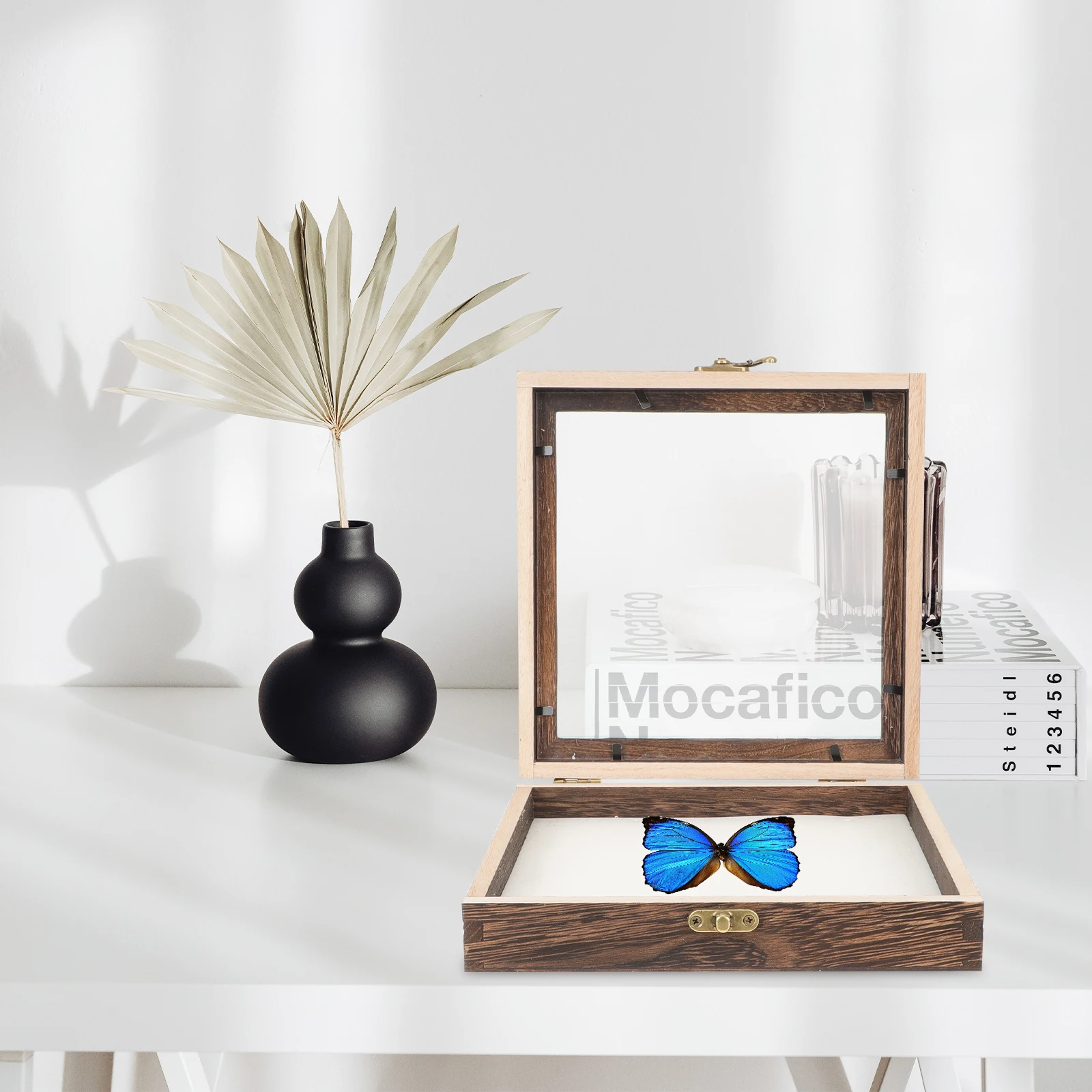 

Butterfly Specimen Box Wooden Display Case Retro Acrylic Cover Lightweight Storage Box For Jewelry Coins Crafts Home