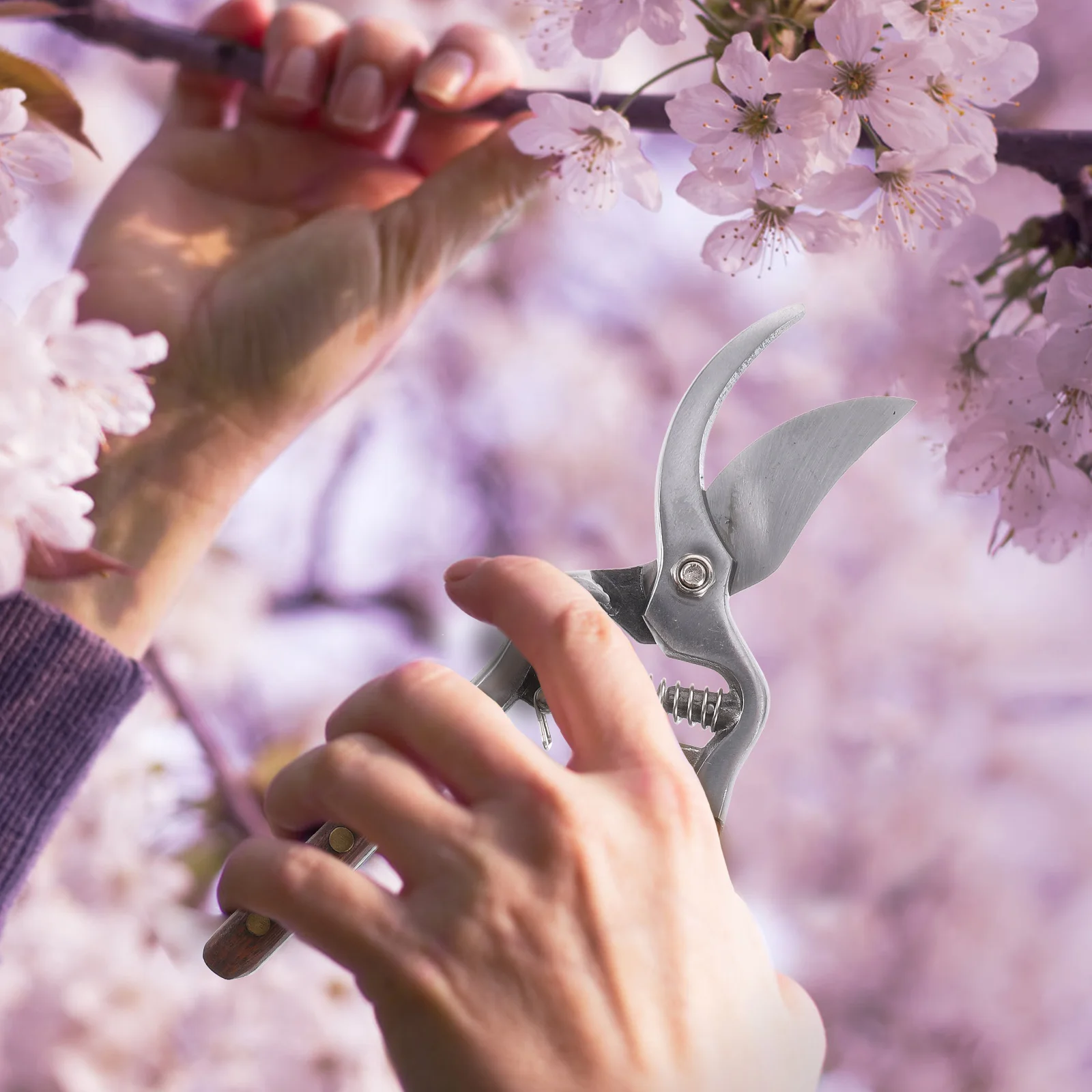 

1Pcs Carbon Steel Pruning Shears Durable Practical Garden Tool Branch Trimming Professional Hand Pruner Pruning Shears