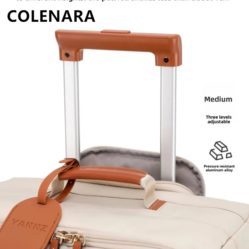 COLENARA 26