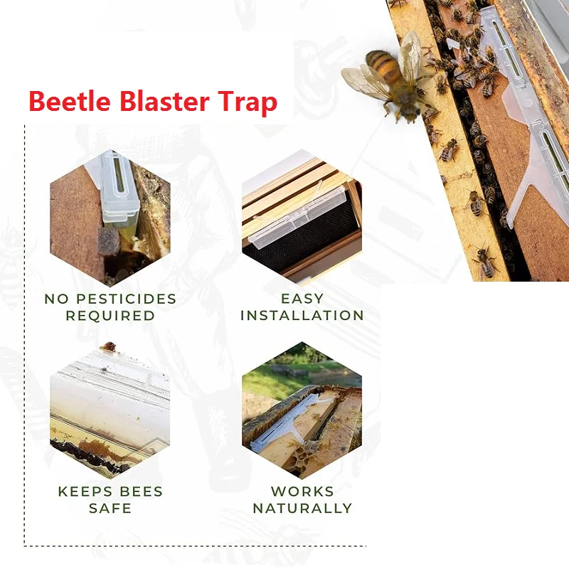 15 PCS Hive Beetle Trap Reusable Beetle Blaster Trap Bee Health For Hive Frame Capture Beetle Trapping Beetles Beekeeping Tools