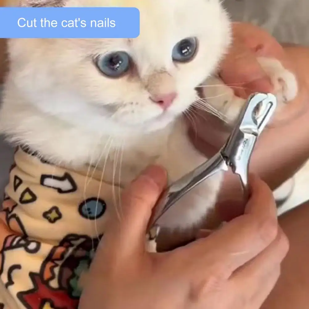 ضبط النفس للقطط للتهيأ ذاتية اللصق القط التفاف القط الاستمالة التفاف ذاتية اللصق ضبط النفس حقيبة لمكافحة لدغة للأظافر #6