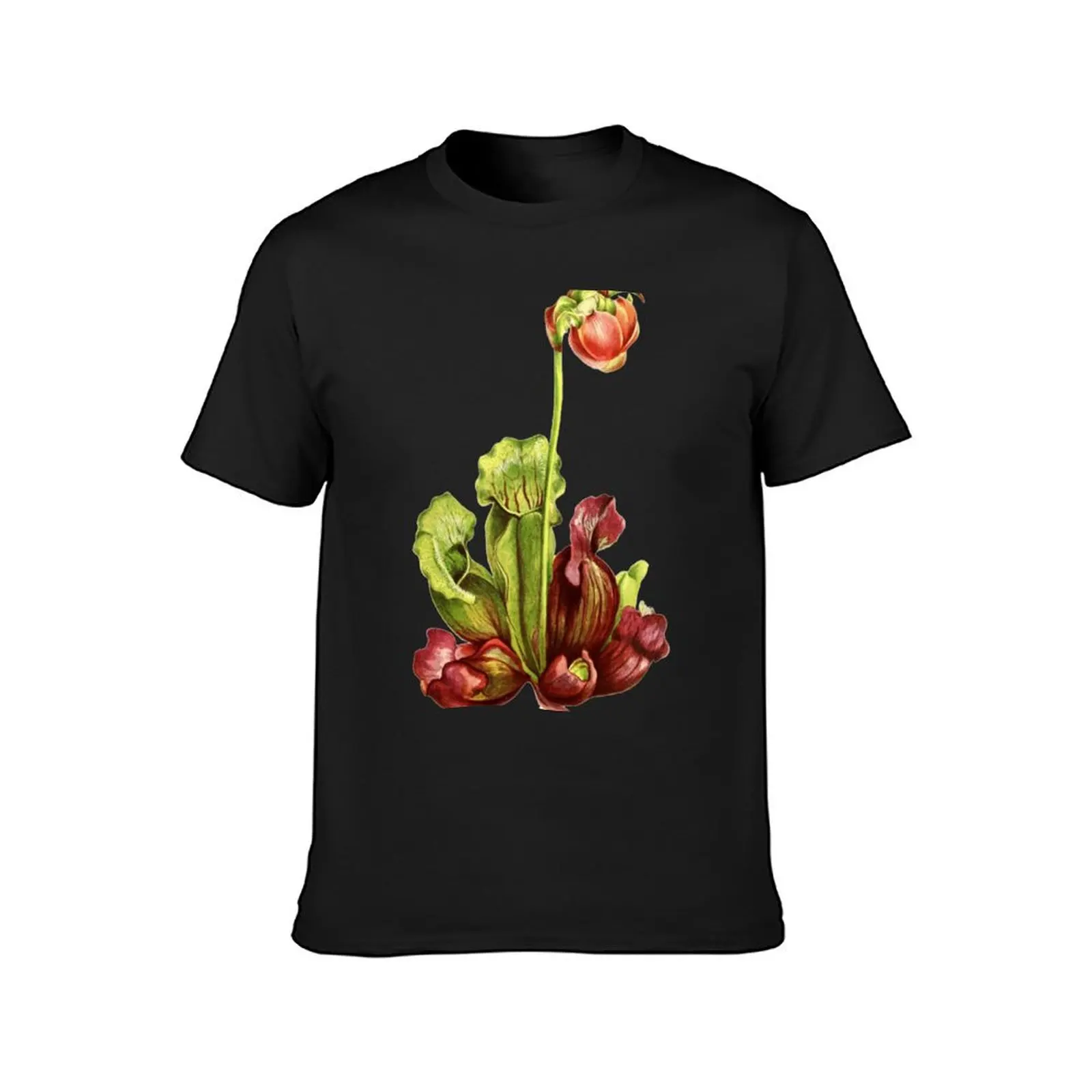 Sarracenia purpurea - The Purple Pitcher Plant T-Shirt graphic t shirts anime stuff anime figures shirts graphic tee men