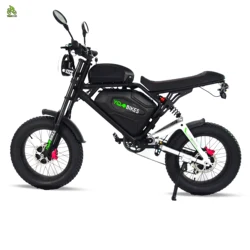 Super Cool 3000w 40Ah Fatbike Bluetooth Color Light Dual Drive Racing bici elettrica Full Suspesnion ebike Mountain Adult e Bike