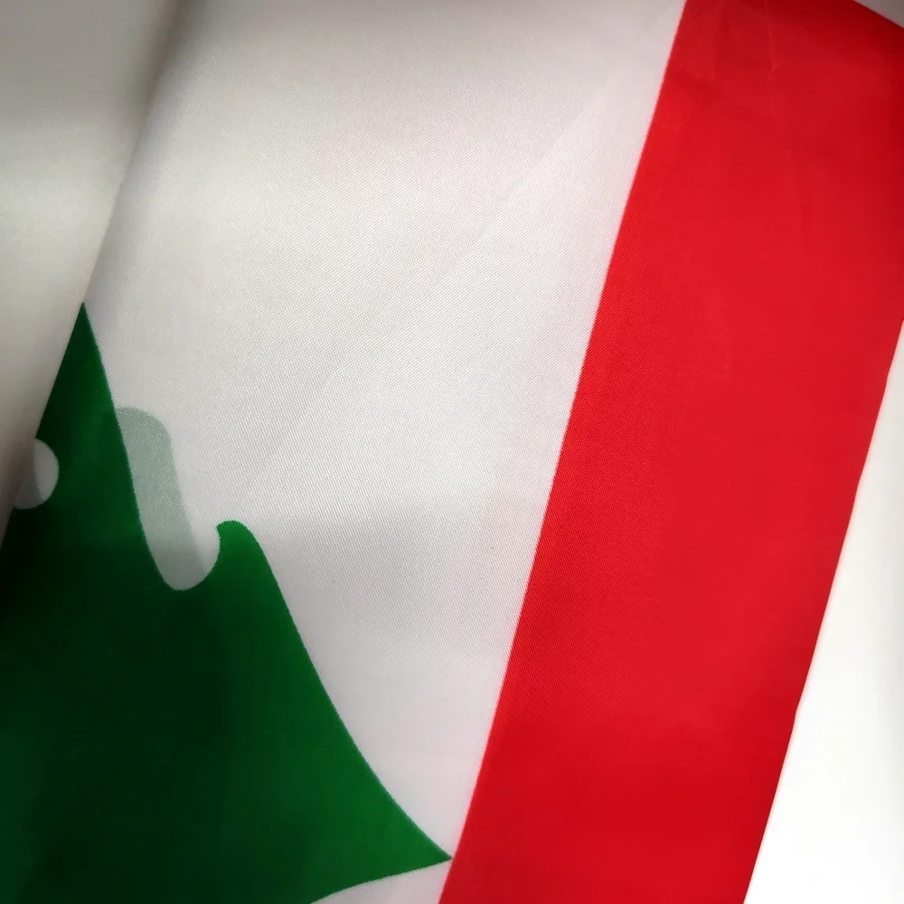 Lebanon Flag Indoor Outdoor 90*150cm Hanging Polyester Flag For Decoration