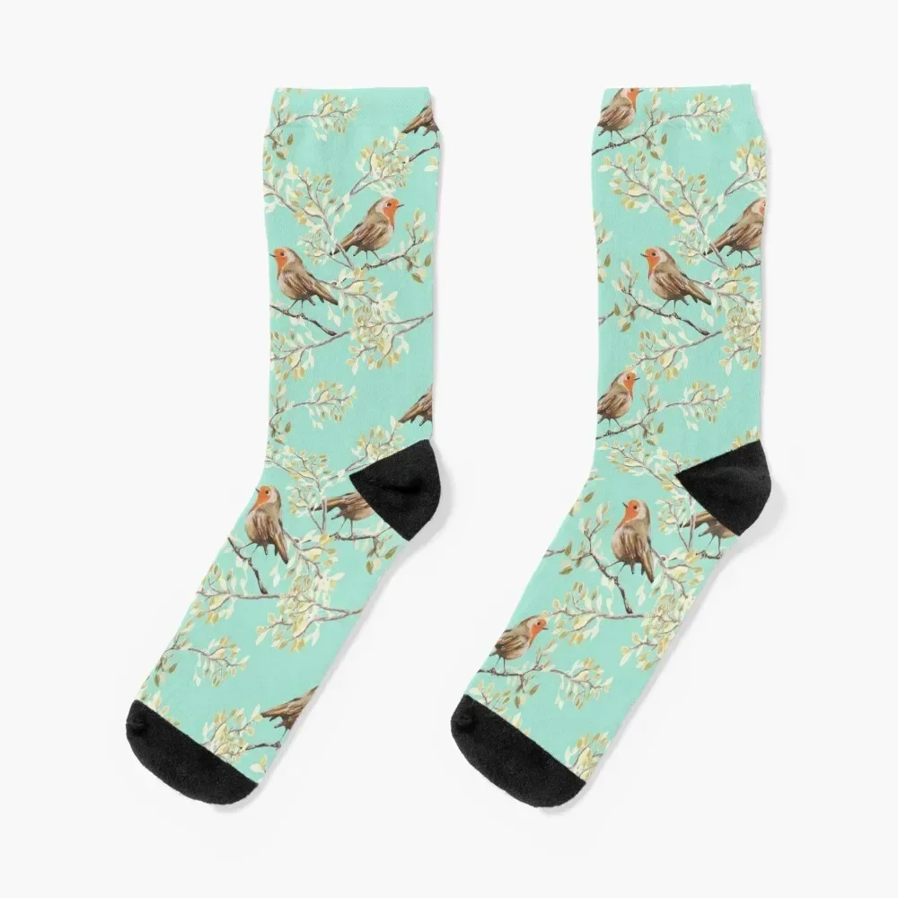 Vintage Robin Readbreast Art Pattern Socks compression moving stockings professional running Socks For Women Men's