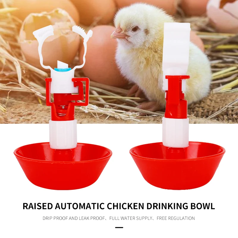 5/10Sets Automatic Chicken Water Nipple Drinker Bowl Chicken Bird Drinking Hanging Cups Waterer Fountain Quail Farm Accessories