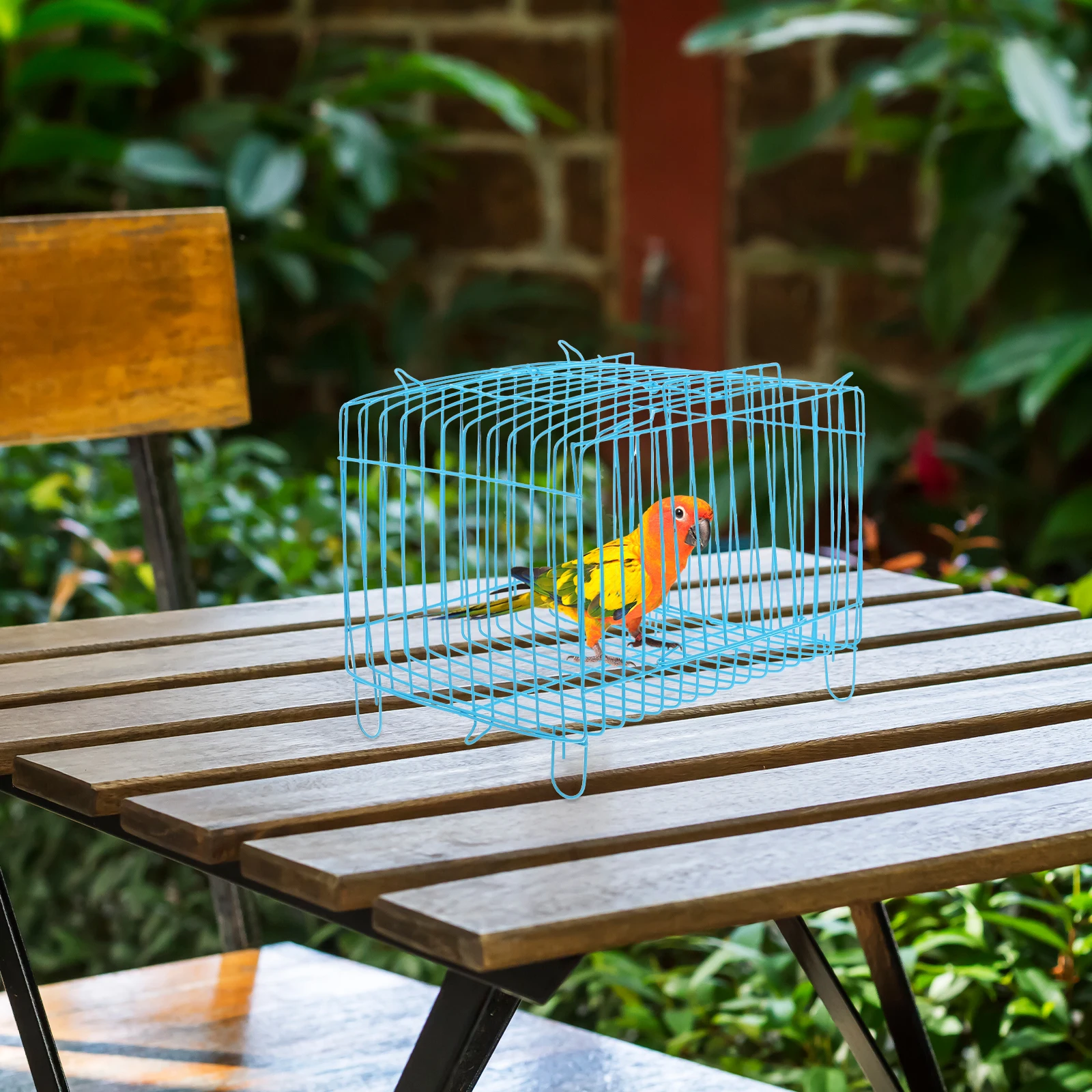 

Portable Bird Cage Handcage for Parrots Small Pet Blue Wire Travel Carrier Outdoor Use Lightweight Breathing Space Cockatiel