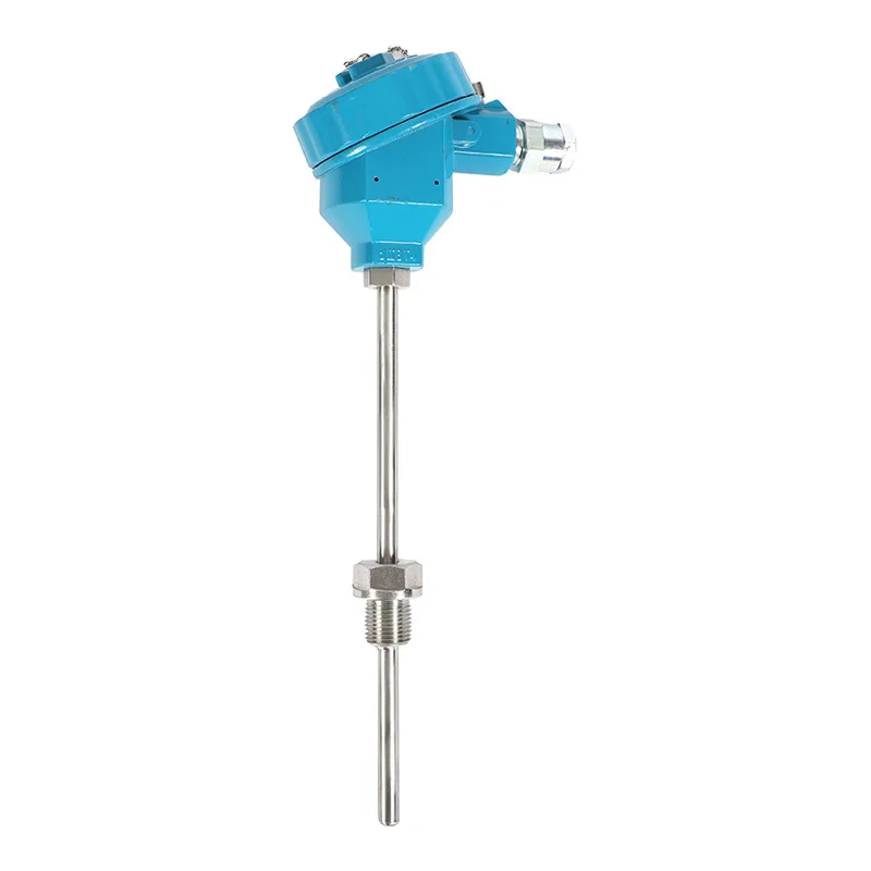 Explosion-proof PT100 RTD Platinum thermal resistance thermometer for temperature sensor WZP-140