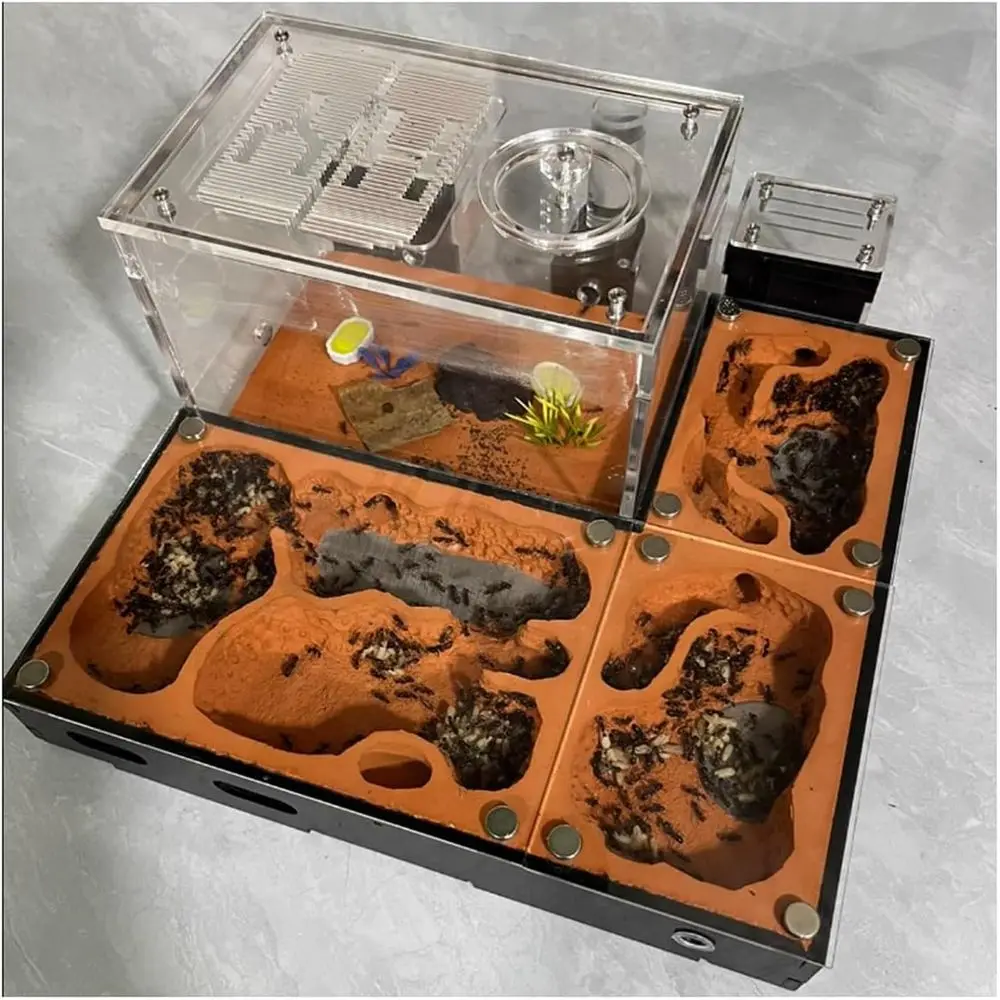 

Большое муравьиное гнездо для фермы муравьев Дом муравьев Королева Зона разведения домашних животных Замок вторжения Майстерня Коробка для насекомых Формическое средство для наблюдения за живой муравьем Ха