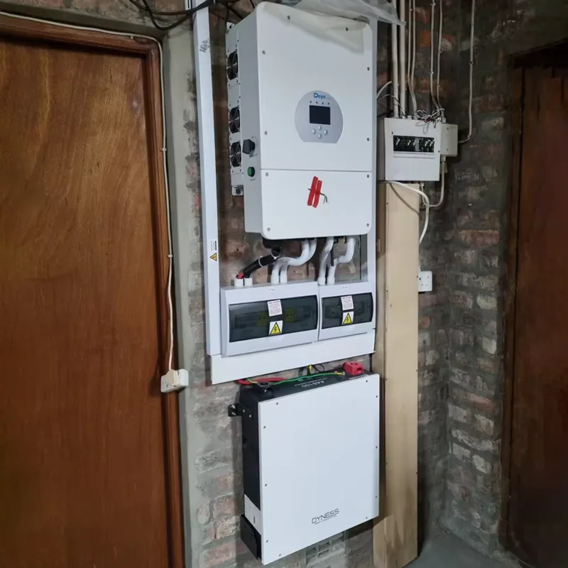 TLF 95% DOD Dyness DL5.0C 5kWh بطاريات ليثيوم الطاقة الشمسية المثبتة على الحائط خارج الشبكة والإعدادات الهجينة بطارية LifePO4