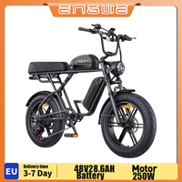 ENGWE M1 20 Inch Fat Tire E-bike 250W Brushless Motor Mountain Off-road Electric Bicycle 48V28.6AH Dual Battery Electric Bike
