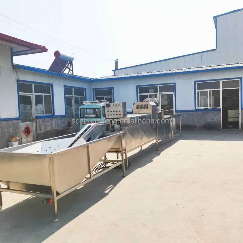 Highly Rated Commercial Egg Washer Automatic Egg Processing Equipment for Food Processing Machinery Egg Washing Machine