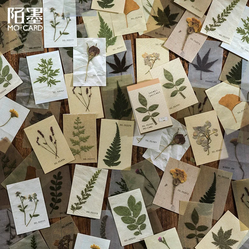 50pcs Vintage Beautiful Plant Retro Card Kraft Cards for Deco Stationery LOMO Cards Stationery Notepad Sticky Notes