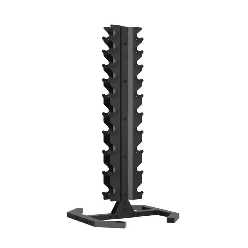 Dumbbell Storage Rack for Home and Commercial Gyms Holds Ten Pairs of Dumbbells Easy To Store