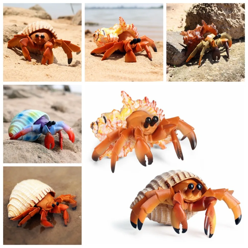 

Realistic Animal Model Hermit Crab Figurines Hermit Crab Simulation Ocean Animals Model Plastic Sea Life Toys Kids Gift