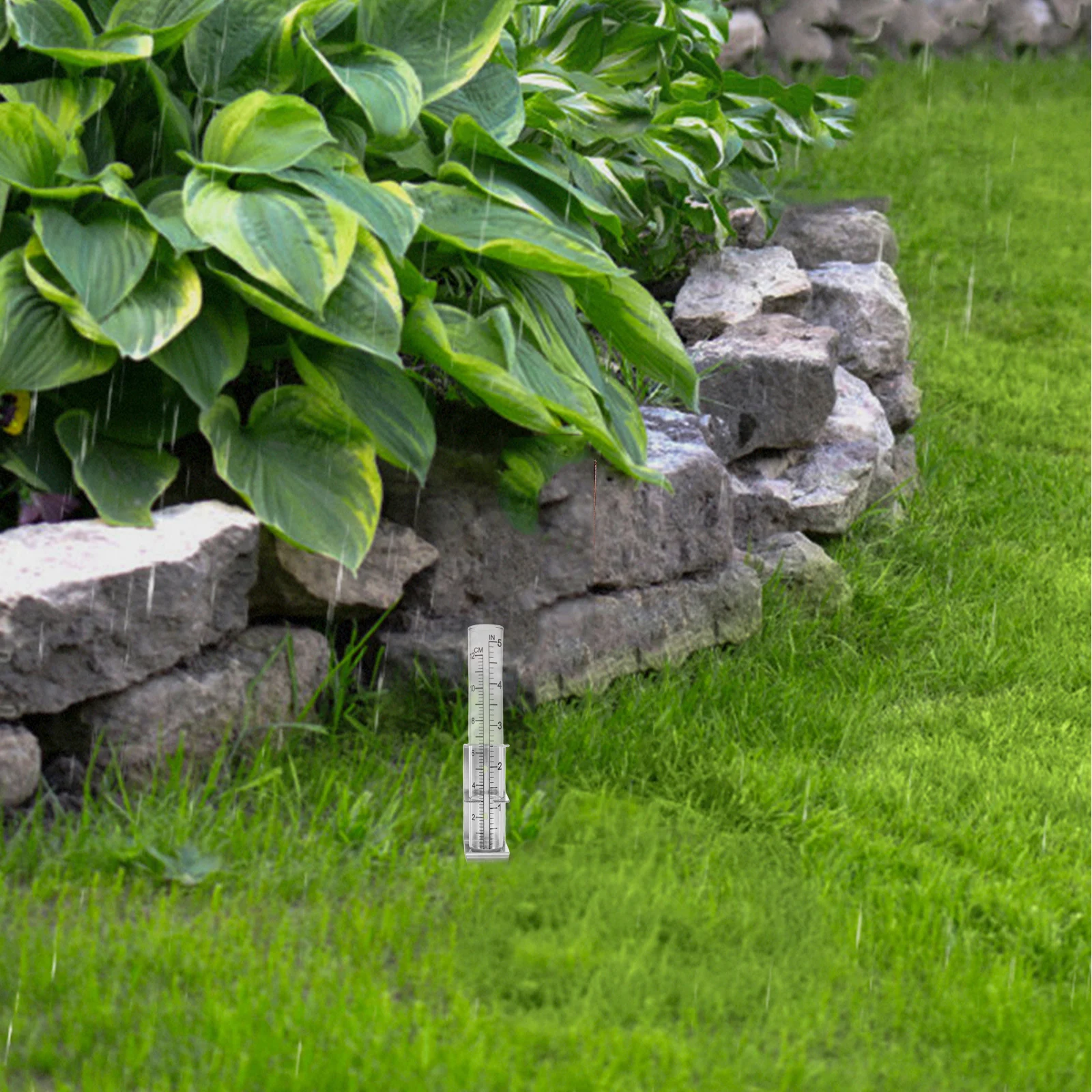 

Glass Rain Gauge Stainless Steel Mounting Bracket Outdoor Garden Accurate Rainfall Measurement Tool Clear Tube