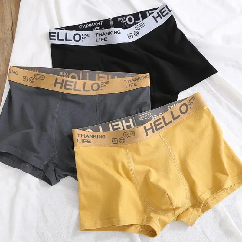 2024 NEW Men\'s Panties Soft Cotton Boxers Comfortable Breathable Underwear Teenagers Sports Underpants Men\'s Underwears