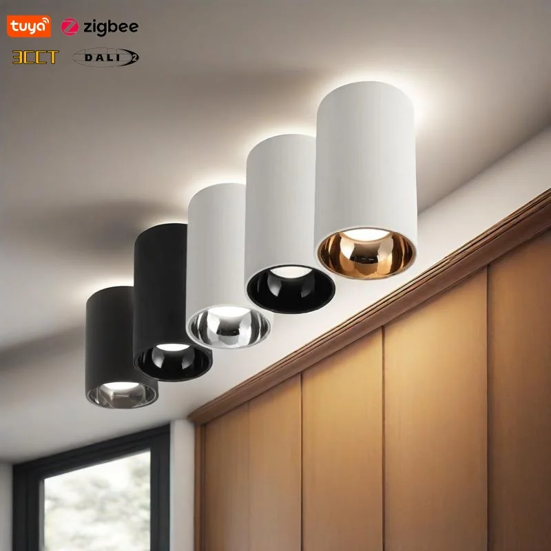 Smart Zigbee Dali Dimmable 3CCT Anti-glare COB Spotlights LED Ceiling Light AC110V220V LED Downlight Supermarket, Shop Lighting