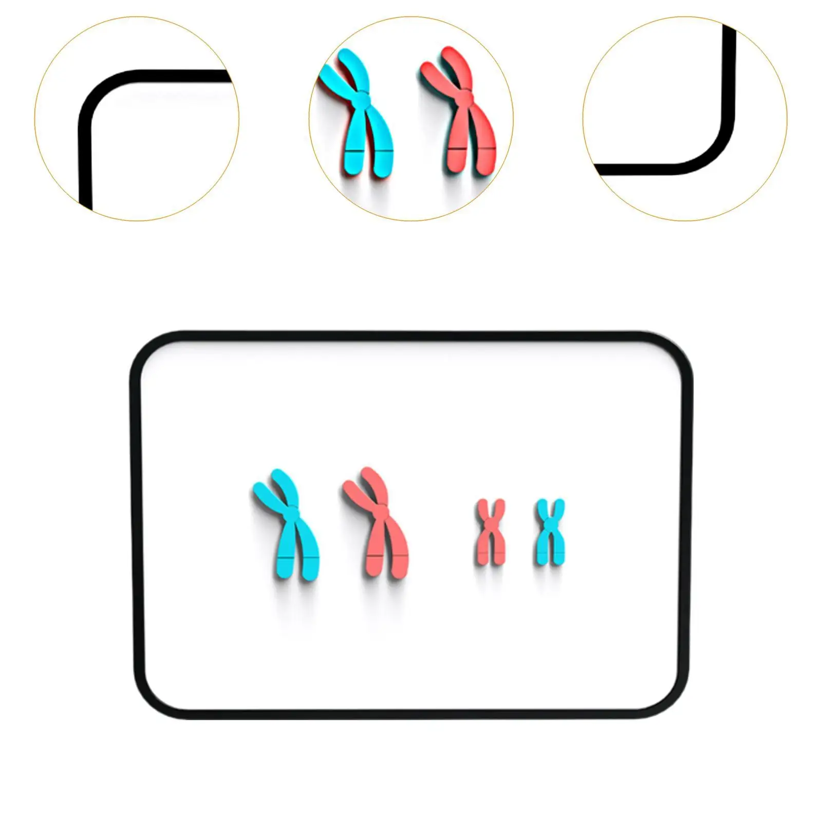 중학교용 교육 학습 교육 보조, 염색체 변화 모델, 생물학 자석 x 염색체 모델, Meiosis 모델